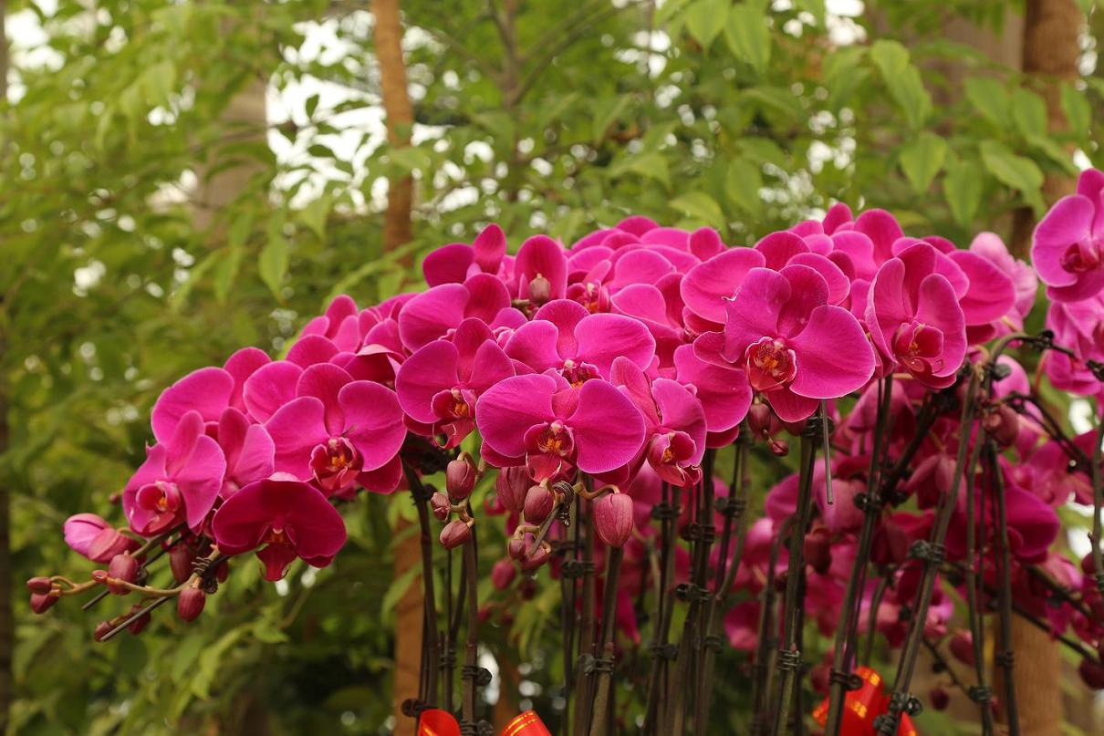 照片2015.3.7 025.jpg