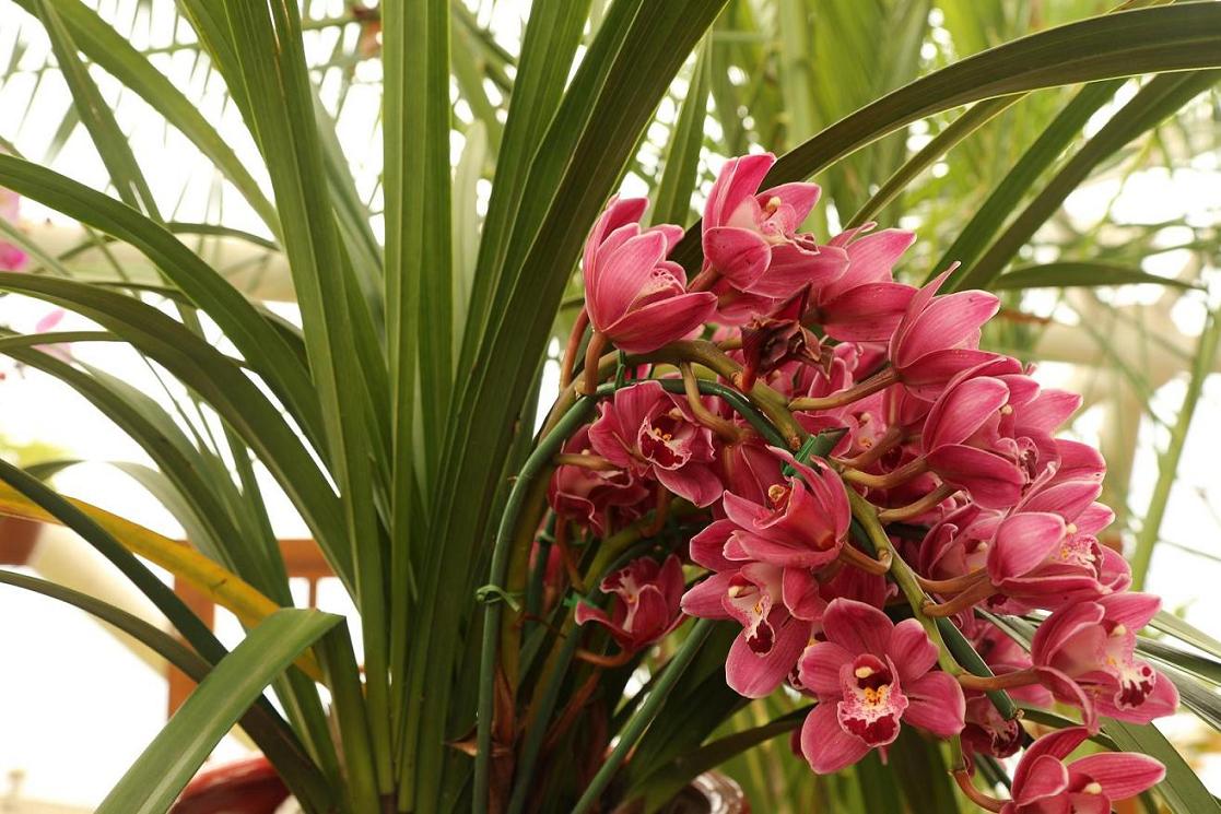 照片2015.3.7 024.jpg