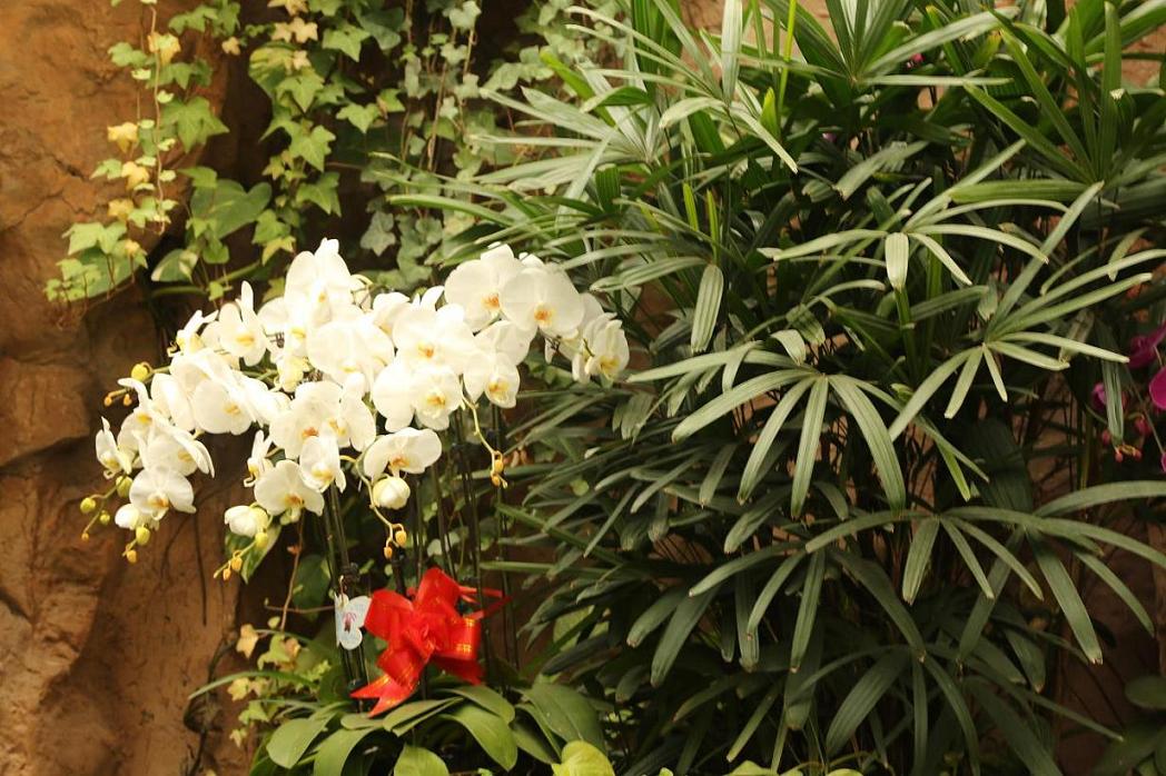 照片2015.3.7 033.jpg