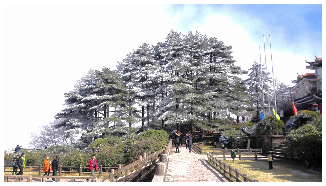 IMG_20150301_144050 1024.jpg