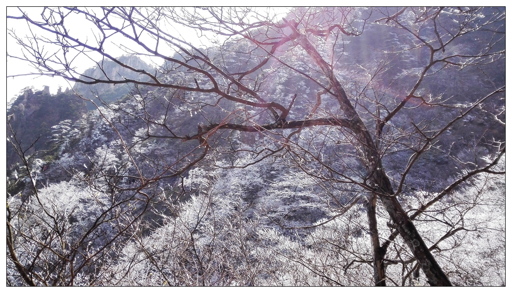 IMG_20150301_141244 1024.jpg