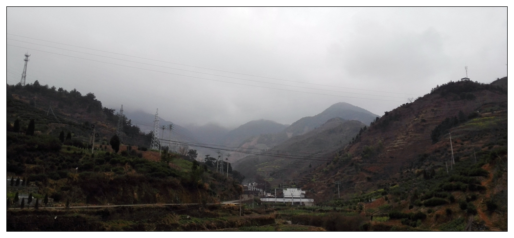 IMG_20150301_10275 1024.jpg