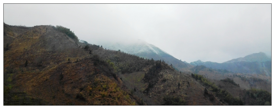 IMG_20150301_101838 1024.jpg