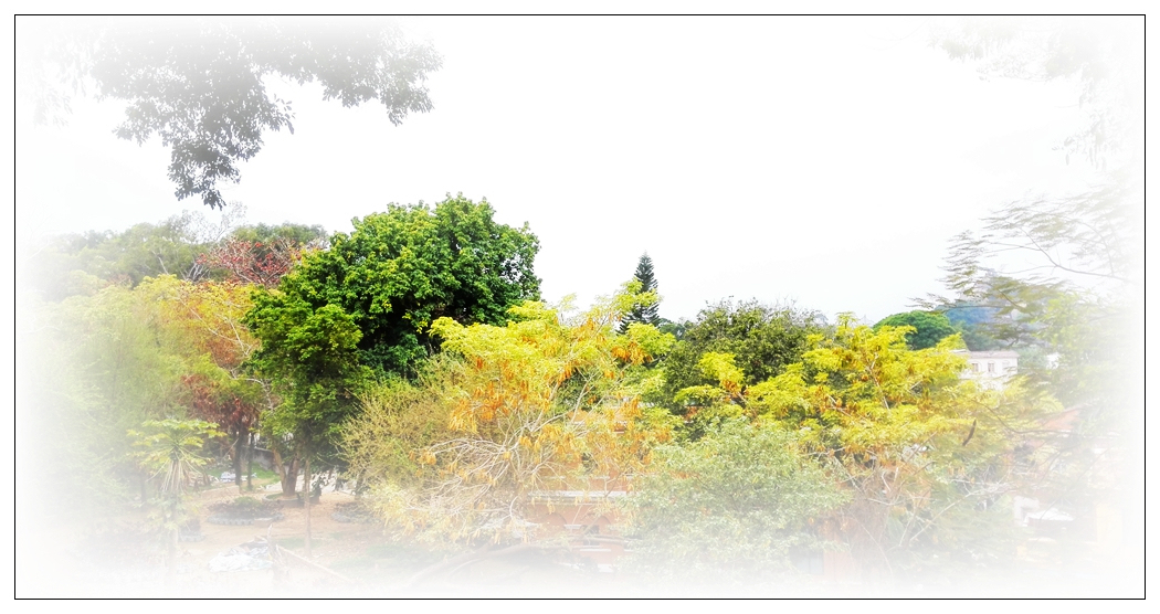 IMG_20150227_091 ...1024.jpg