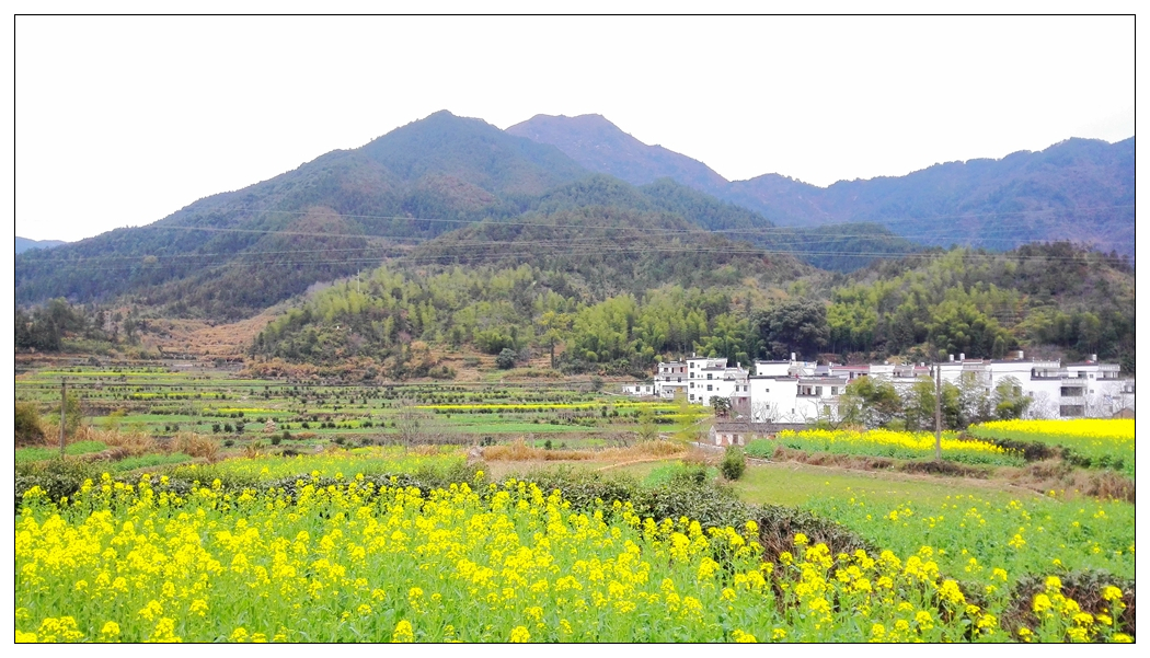 IMG_20150302_150541_ 1024.jpg