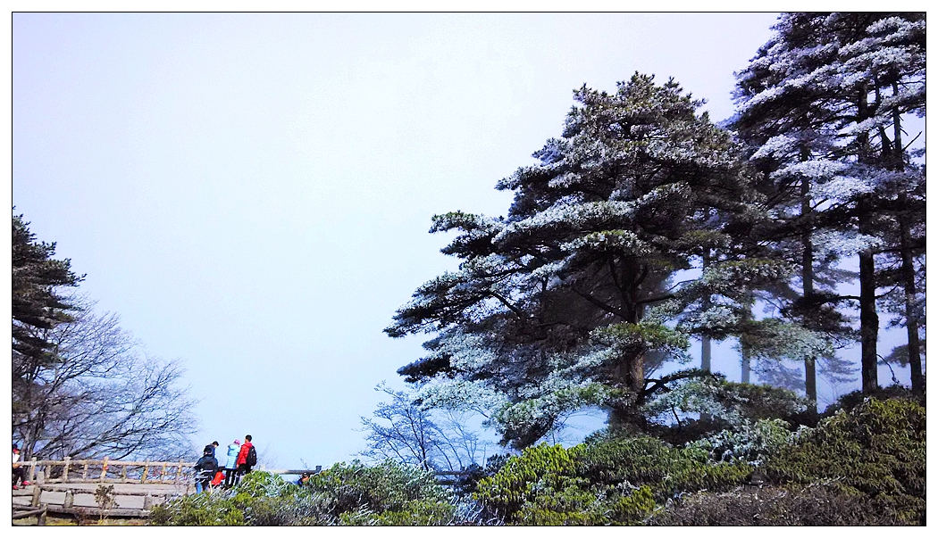 照片 903_副本.jpg