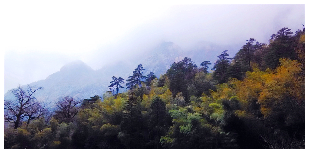 照片 858_副本.jpg