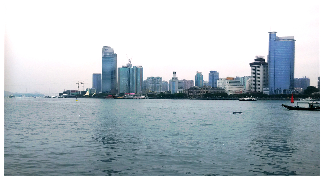 海豚游到前面去了