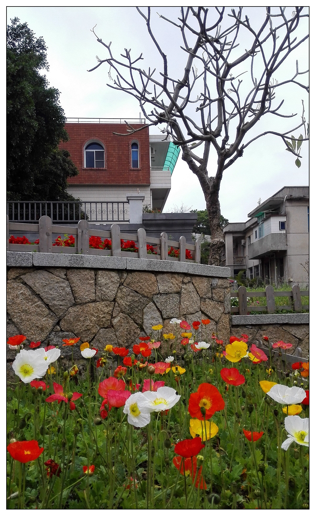 IMG_20150227_085246_副 1024.jpg