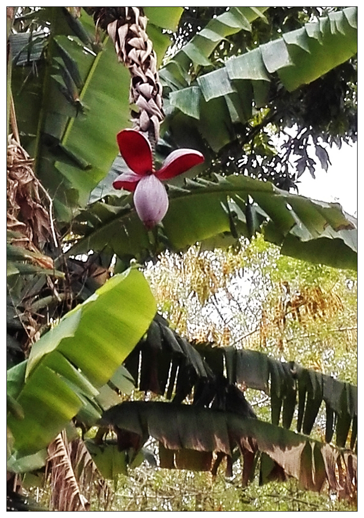 IMG_20150227_090208 1024.jpg