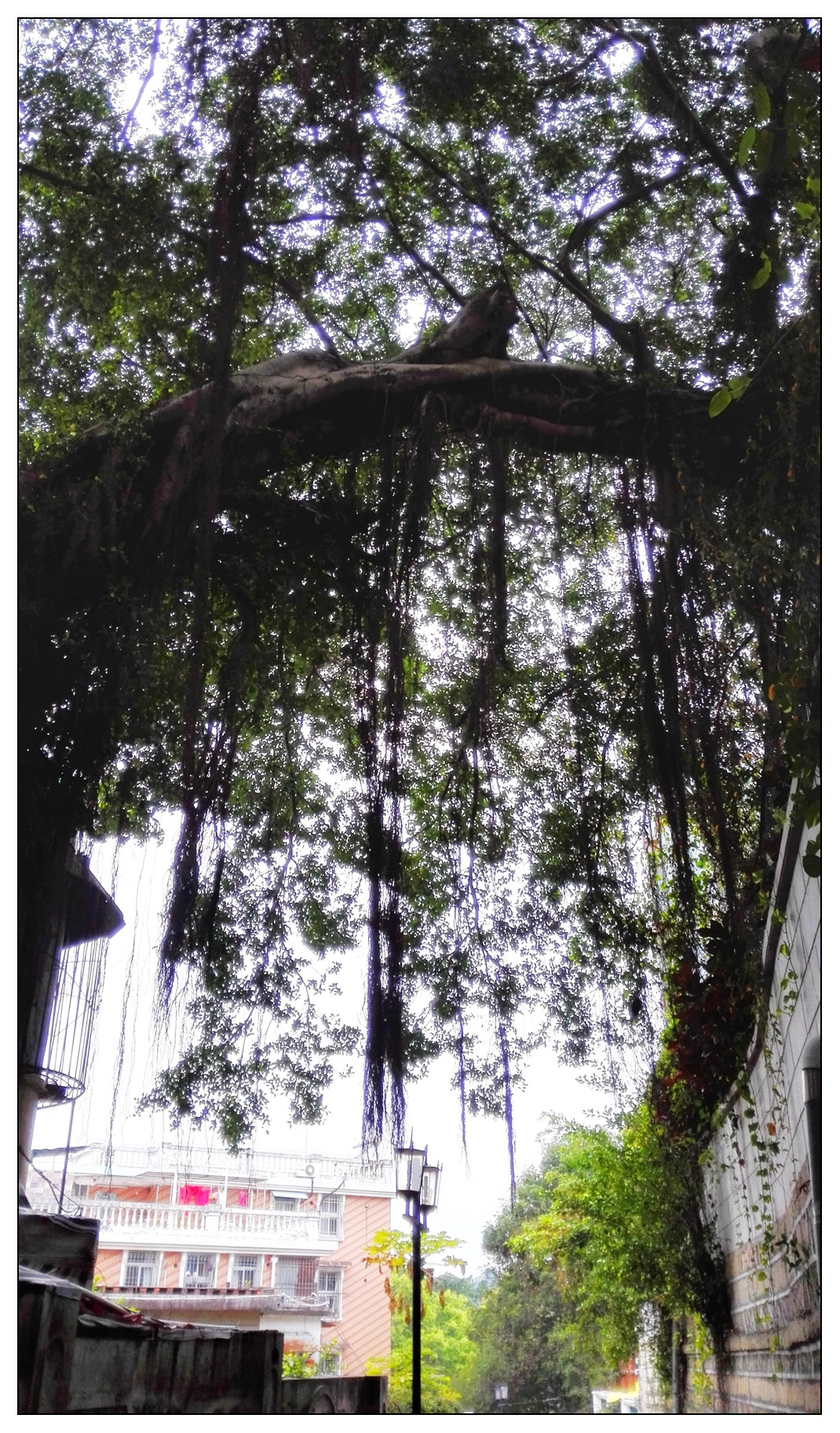 IMG_20150227_105413 1024.jpg