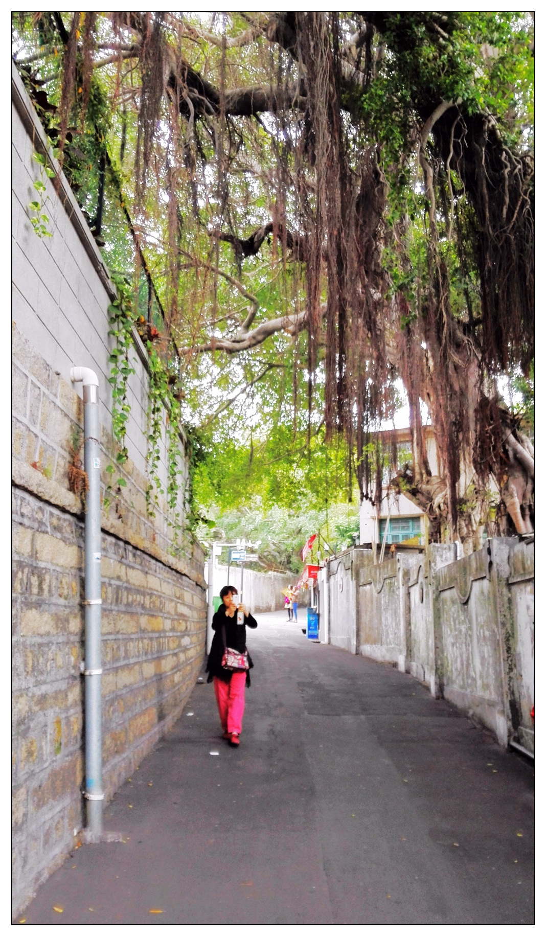 IMG_20150227_105417 1024.jpg