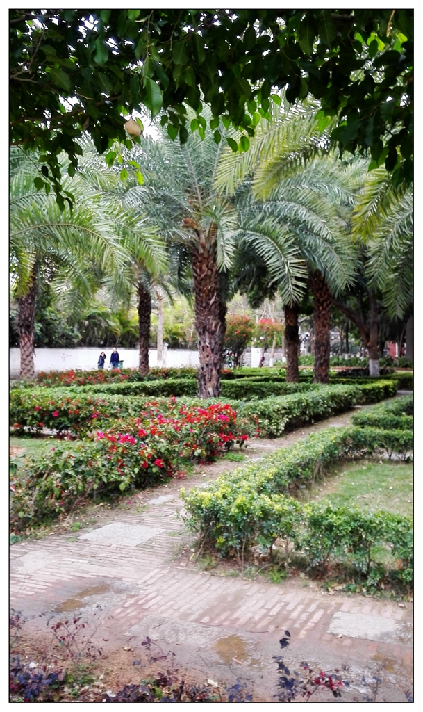 IMG_20150227_ 1024_副本.jpg