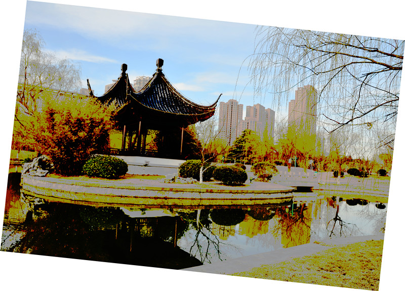 小公园拍遍了，拉了一下也好玩