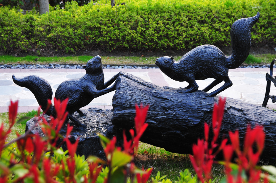 新区中央公园春景醉人 (2).jpg