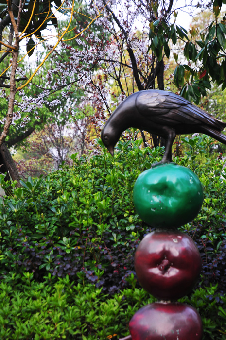 新区中央公园春景醉人 (14).jpg