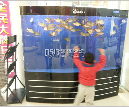 鱼缸2.png