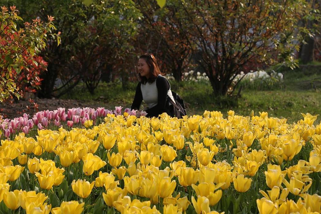 狼山、啬园，牡丹、郁金香2015.4.12 472.jpg