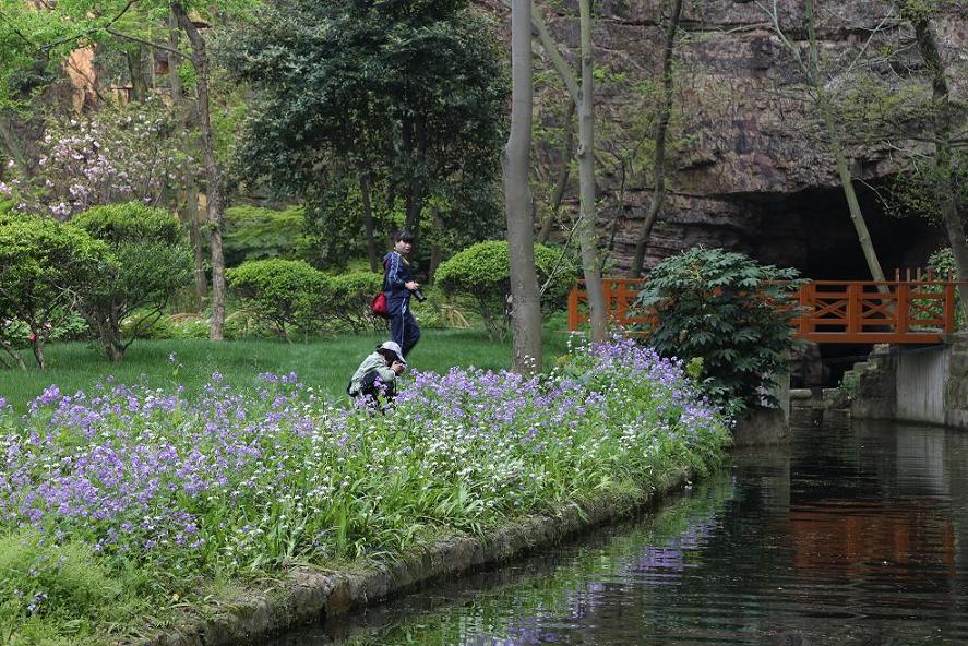 狼山、啬园，牡丹、郁金香2015.4.12 452.jpg