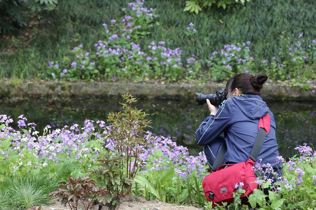 狼山、啬园，牡丹、郁金香2015.4.12 441.jpg