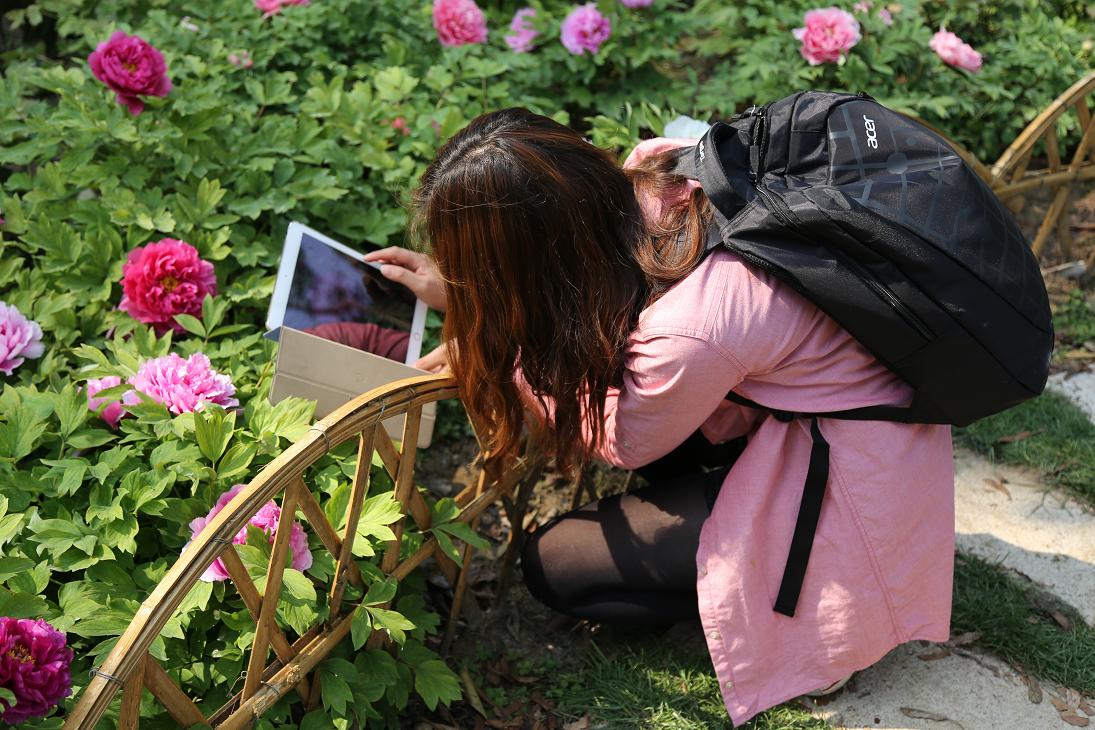 狼山、啬园，牡丹、郁金香2015.4.12 409.jpg