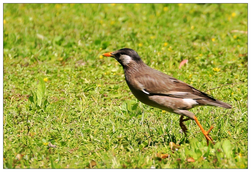 4F9A6037_副 ...979K.jpg