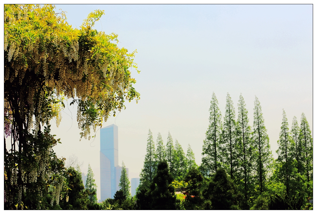 4F9A5558_ ...682K.jpg