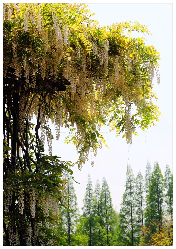 4F9A5553_ .. 841K.jpg