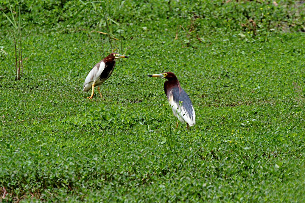 照片 078_副本_副本.jpg