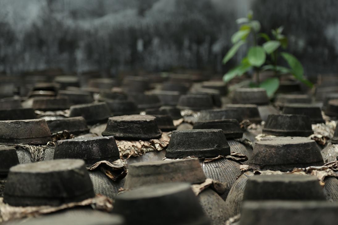 乌镇纪行2015.5.9 285.jpg