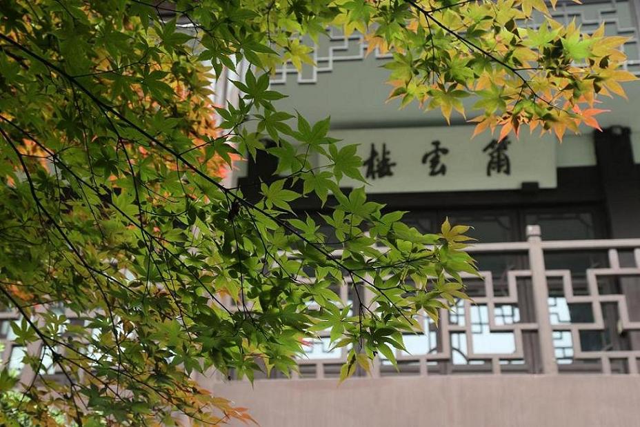 乌镇纪行2015.5.9 303.jpg