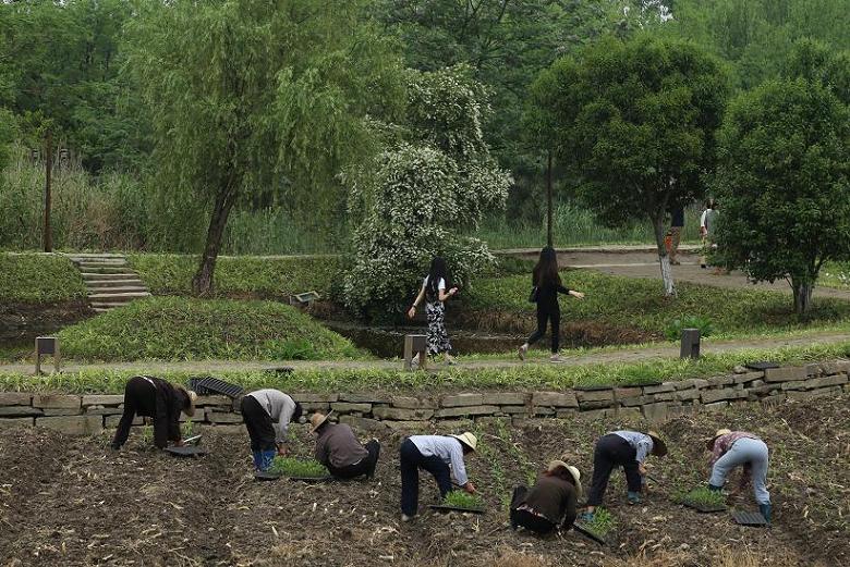 乌镇纪行2015.5.9 395.jpg