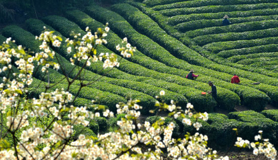 五月的鄂西 最美的几个地方这辈子一定要去走走
