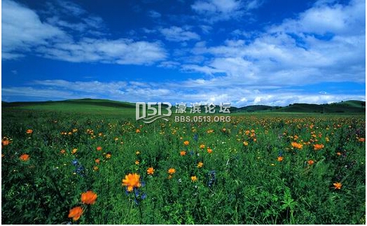 草原5.jpg