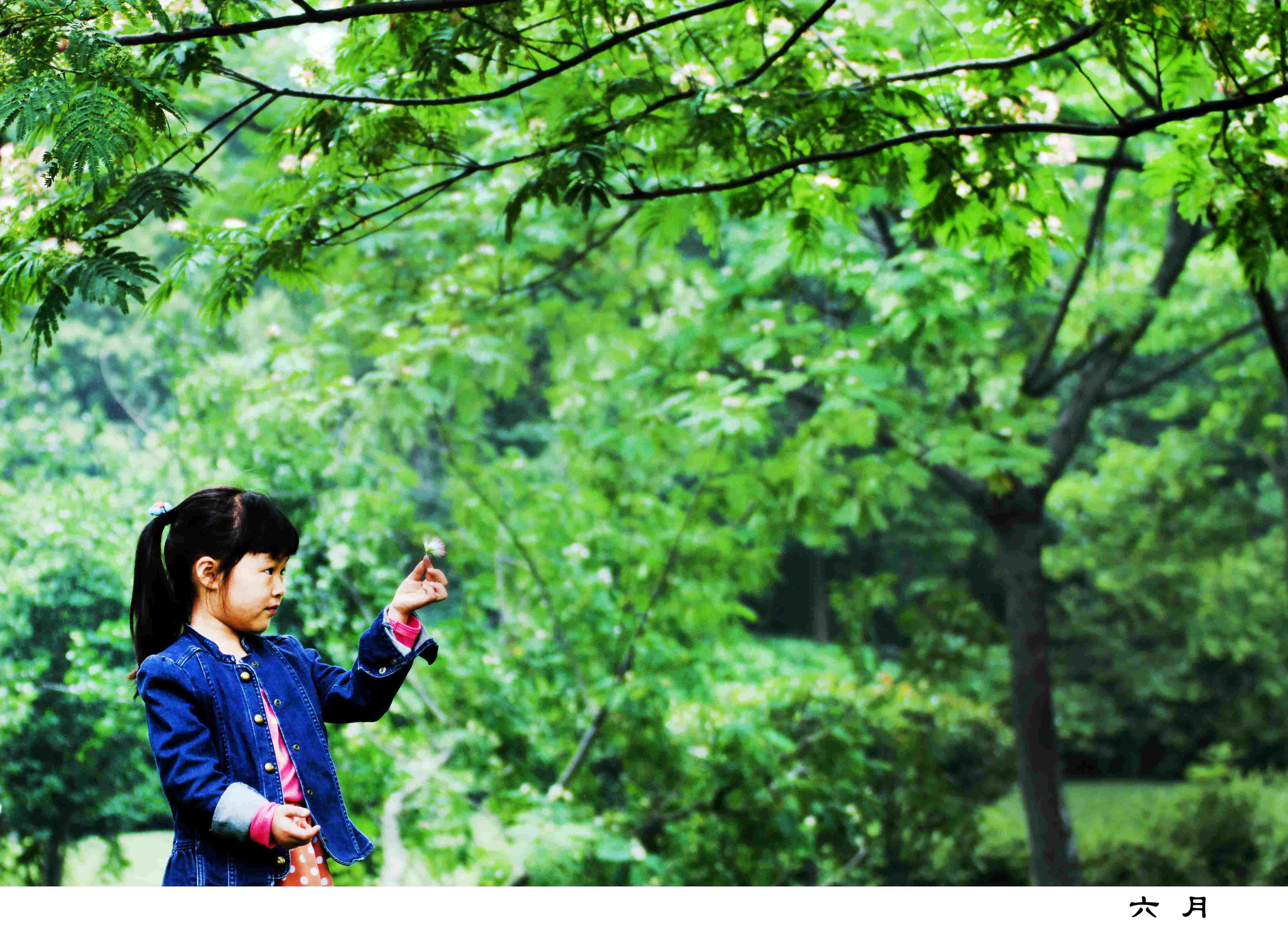 六月11.jpg