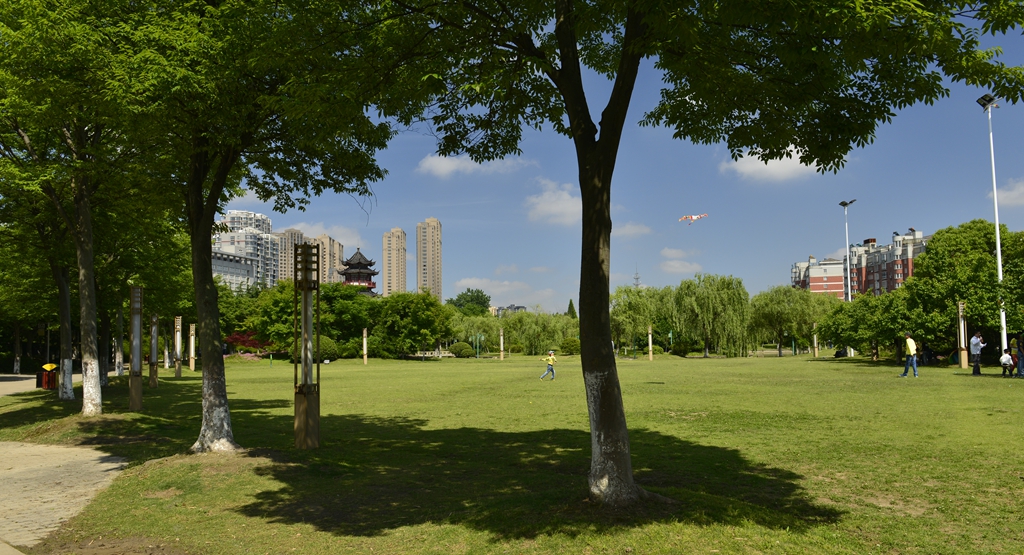 第一次这个角度看公园