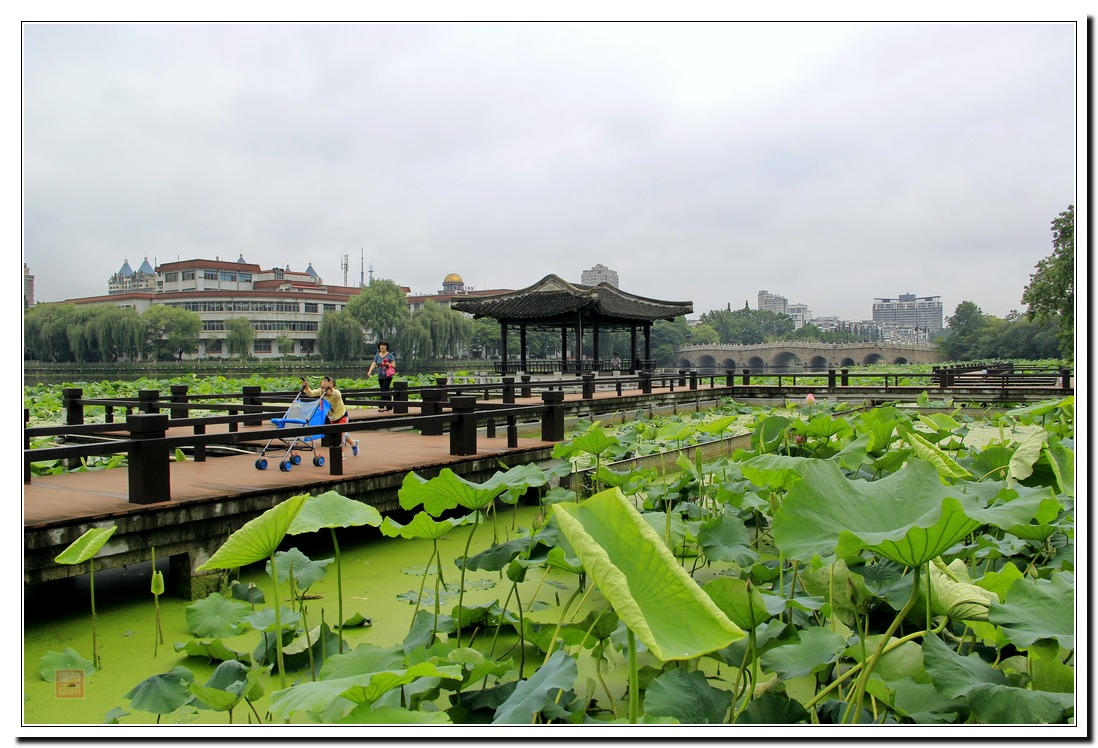 见游人：伴侣闲坐亭，祖孙忙推车
