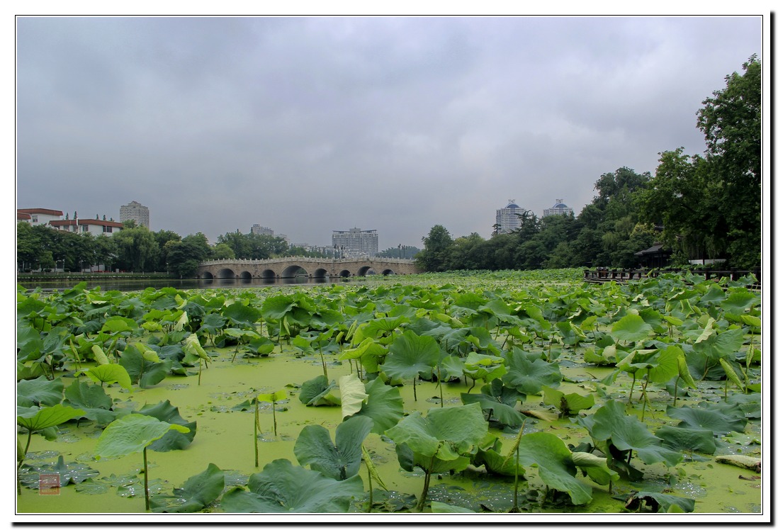 观濠滨：濠河系玉带，碧水泛轻舟