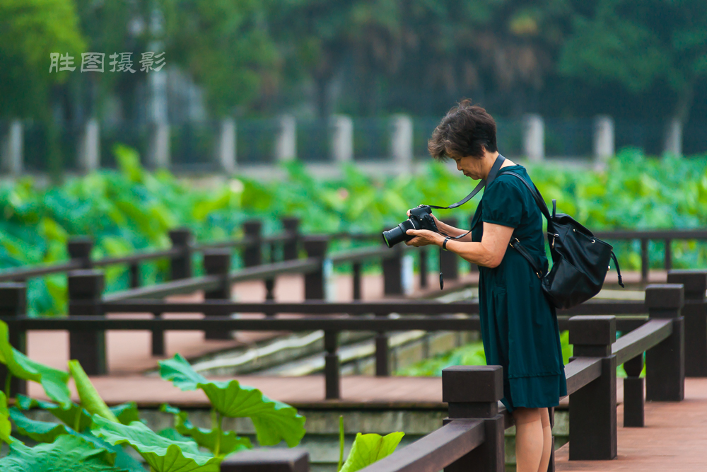 启秀园20150702200 mm1-1000 秒 (