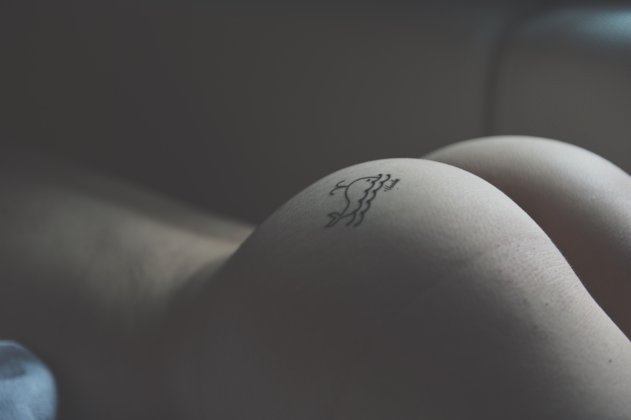 2015-07-03 025428.jpg