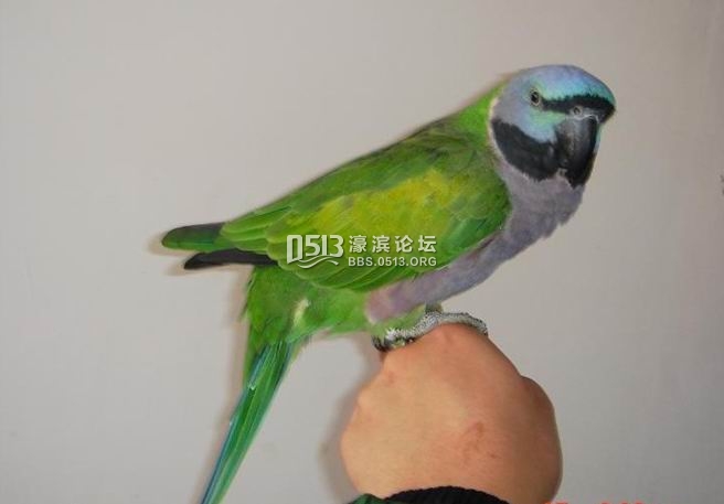 114001i6z9yen3f18o616k.jpg