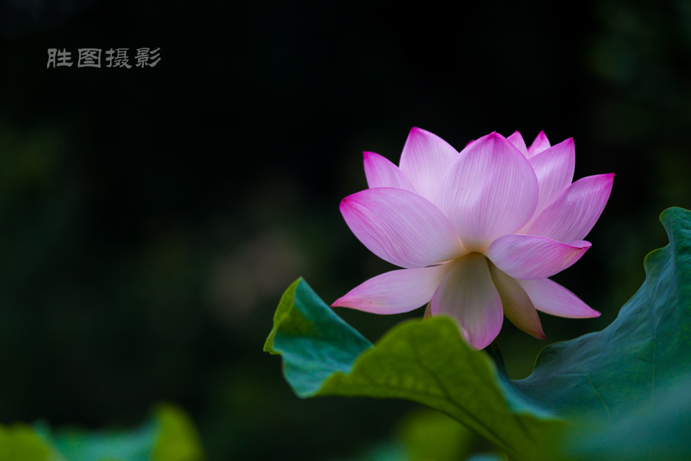 唐闸公园20151-125 秒 (f - 3.2)-82.jpg