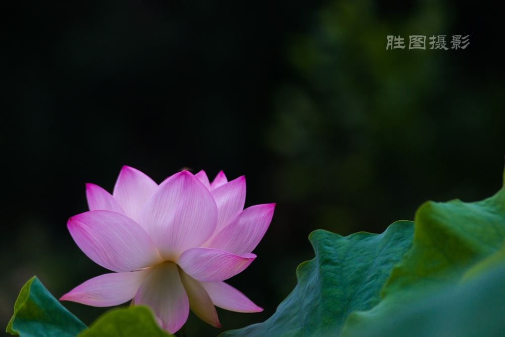 唐闸公园20151-125 秒 (f - 3.2)-87.jpg