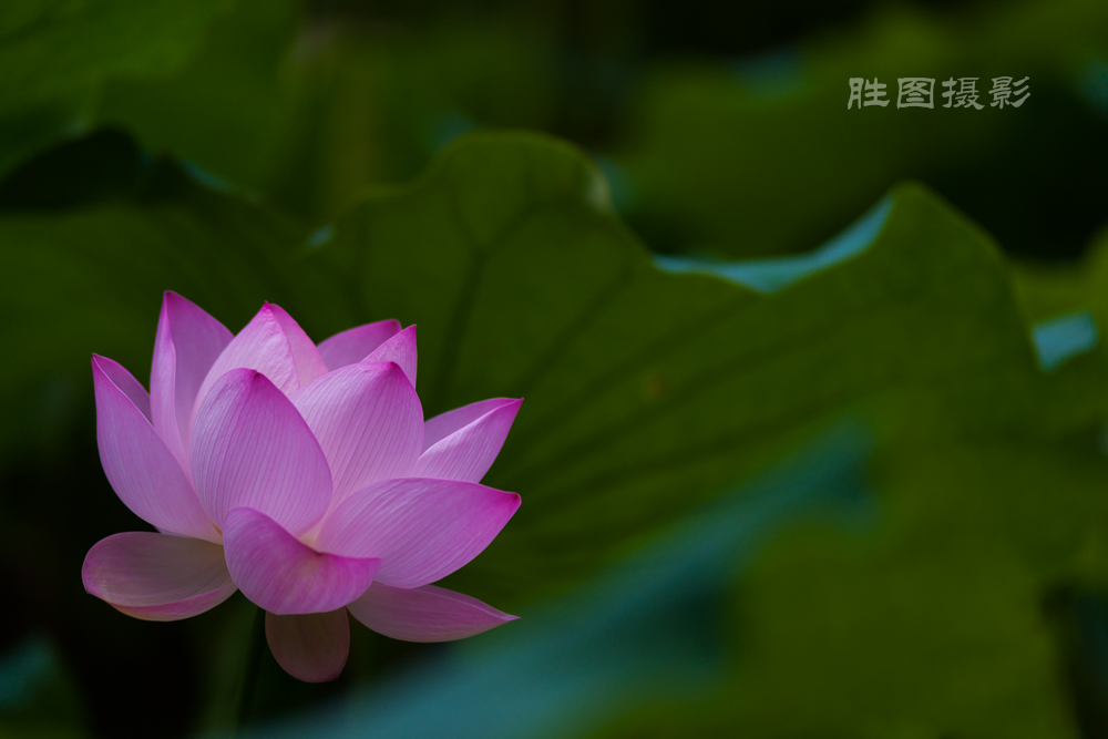 唐闸公园20151-320 秒 (f - 3.5)-24.jpg