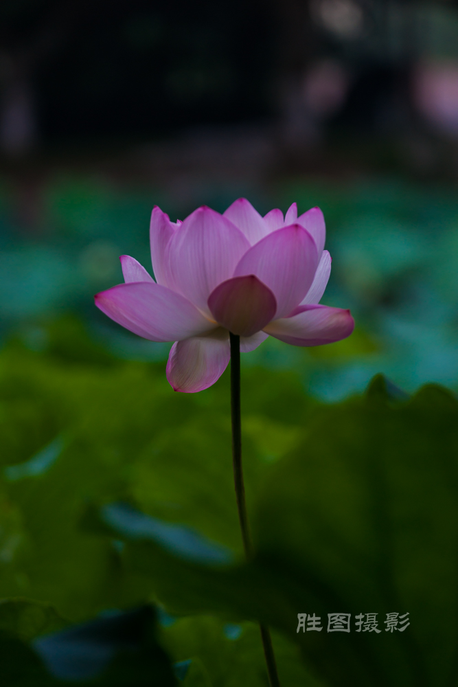 唐闸公园20151-160 秒 (f - 3.5)-5.jpg