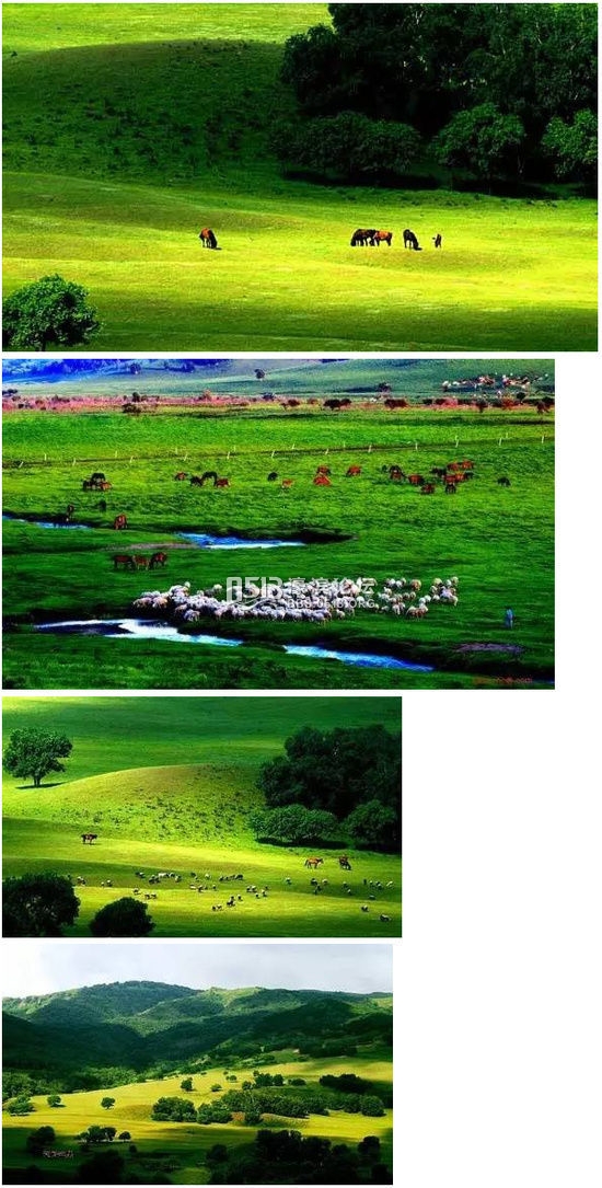 7月份最美的地方