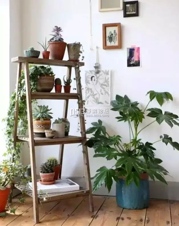 640_wx_fmt=jpeg&amp;wxfrom=5&amp;tp=webp.webp (5).jpg