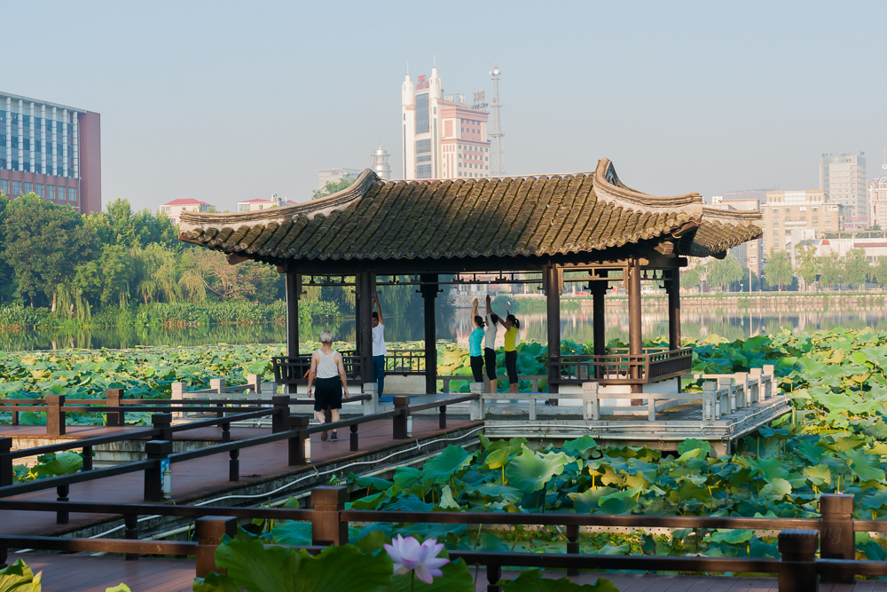 启秀园荷花2015072870 mm1-125 秒 (