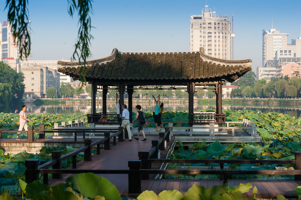 启秀园荷花2015072870 mm1-250 秒 (