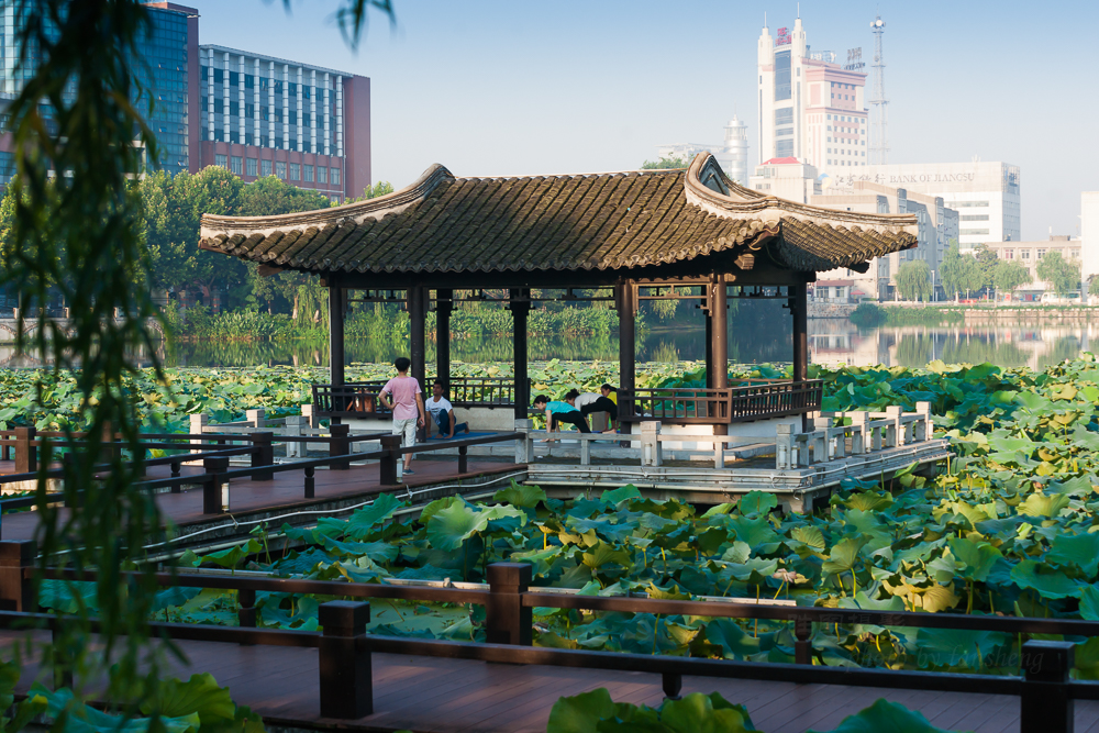 启秀园荷花2015072870 mm1-250 秒 (